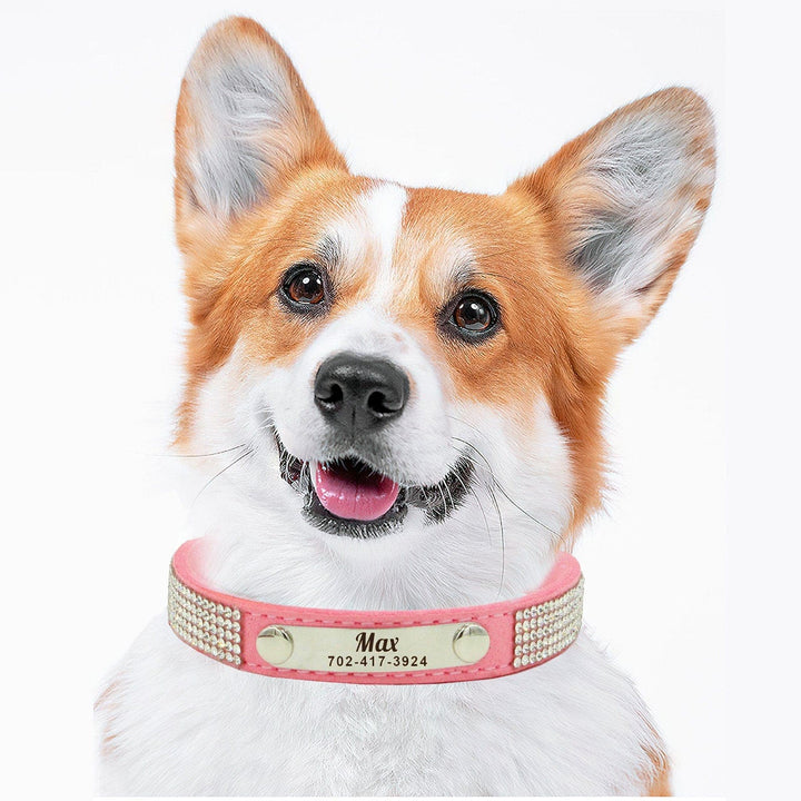 SCULPFUN Mascota Collar